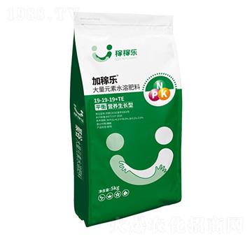 ƽ��I(y��ng)�B(y��ng)���L(zh��ng)�ʹ���Ԫ��ˮ�ܷ���19-19-19+TE-�Ӽژ�-�ڼژ�