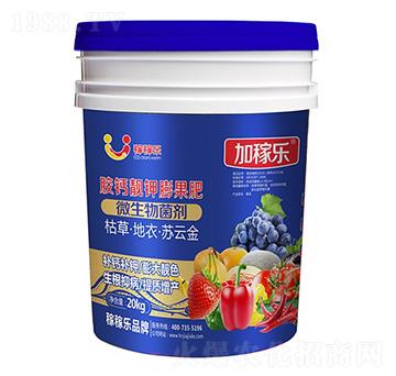 �z�}�n������-�Ӽژ�-�ڼژ�