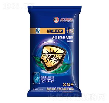 ��΢�����(f��)�Ϸ���17-17-17-������(l��i)-ِ�󻯹�