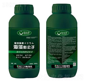 ��������-������