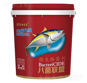 15kg΢�������-�˾���-���r���