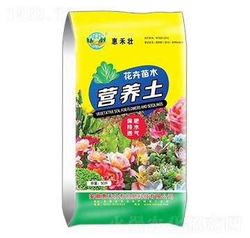 ������ľ�I�B(y��ng)��-�ݺ̉�����