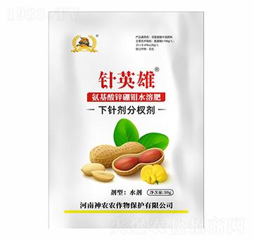 �����ᘄ�-�Ӣ��-�������r