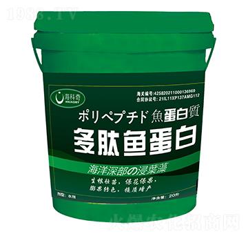 �����~(y��)����-������