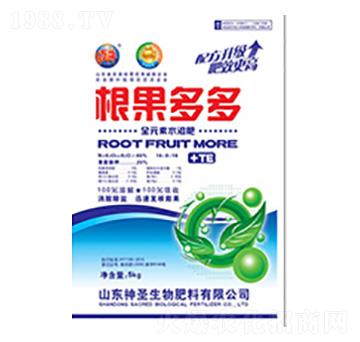 ������ࣨ����(j��)�棩-��ʥ����