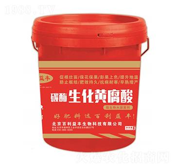 ̼ø�����S����-�������S-��ʥ����