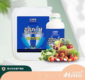 �|̦920-����ِ-�A����