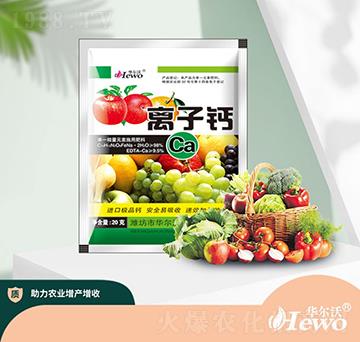 �x���}-�A���֡�