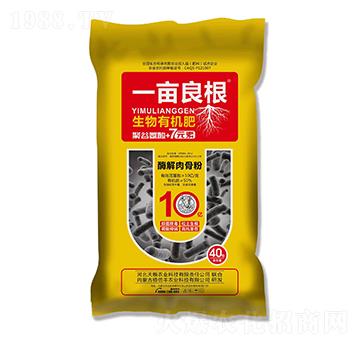 �����ЙC(j��)��-һ������-��Z�r(n��ng)�I(y��)