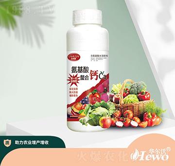 �����������}-�A����