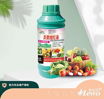 �������t��-�A����