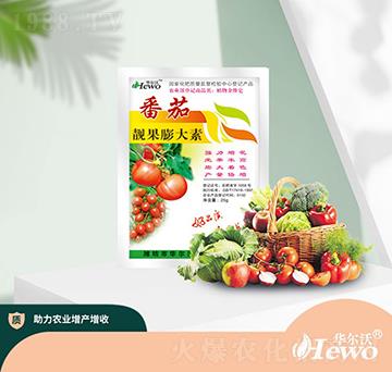 �����n�������-�A����