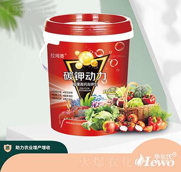 ������}�����̼⛄���-�A����