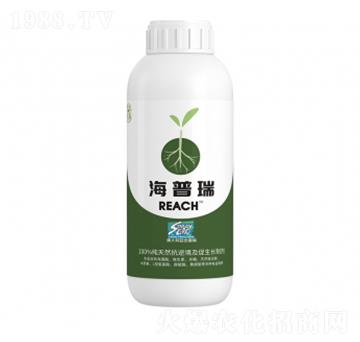 ������-�����ط�