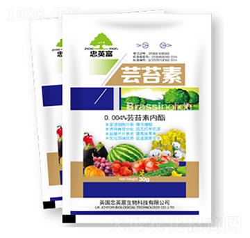 �|̦��-�|���S