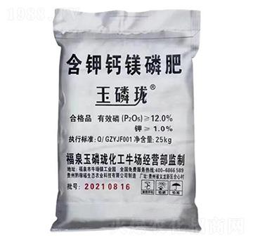 ����}�V��-�ѷ�Ԫ