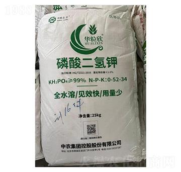 �A������������-�ѷ�Ԫ