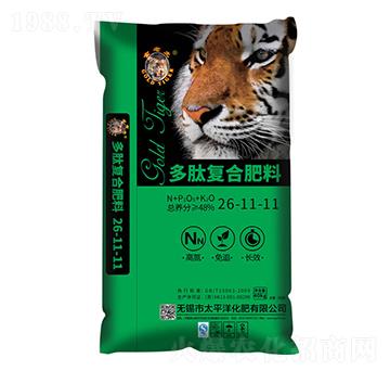 ���ďͺϷ���26-11-11-���ϻ�-̫ƽ�󻯷�