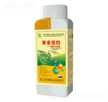 ����������-�S���n-��������