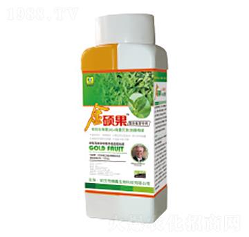 ��T���~���-��������