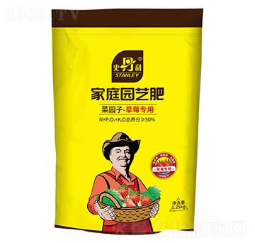 ��ͥ�@ˇ�ͺϷ�-��ݮ����-ʷ����