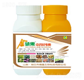 ��ˎ�Č����~���-��T��-��������