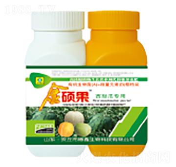 ����ό����~���-��T��-��������