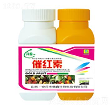 �߼t��-��������