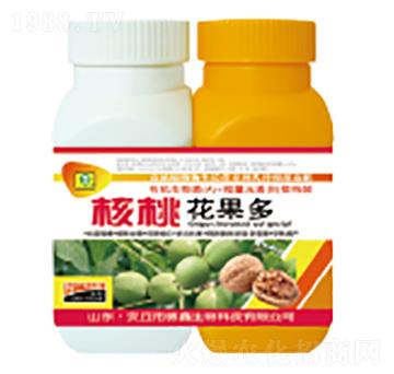 ���һ�����-��������