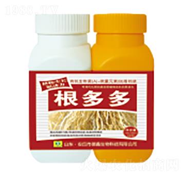 ������~���-��������