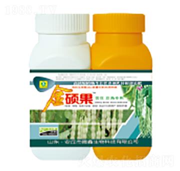 �|�����ǌ����~���-��T��-��������