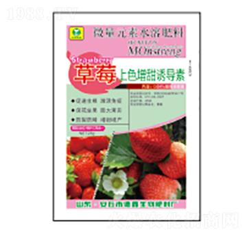 ΢��Ԫ��ˮ�ܷ���-��ݮ��ɫ�����T��(d��o)��-��������