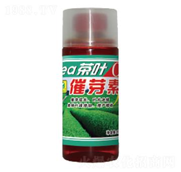 ���~��ѿ��-��������