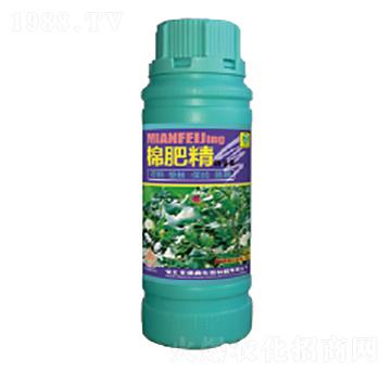 �޷ʾ�-��������