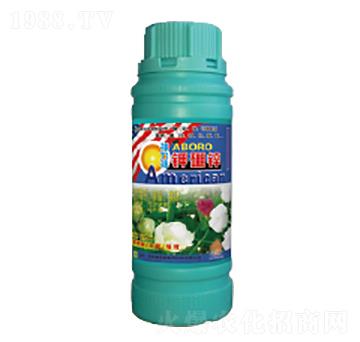 ����\-��������