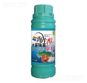 �����̦����`-��������