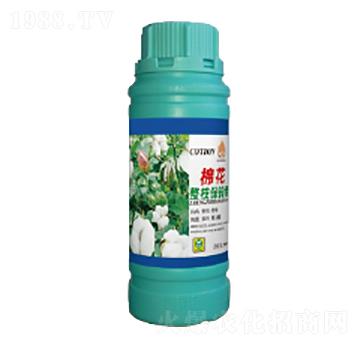 �޻���֦�����-��������