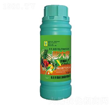 500ml�����-��������