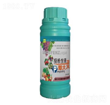 �ڷ���������`-��������