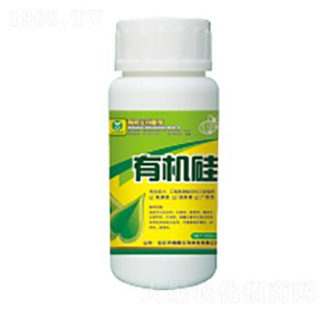 �ЙC(j��)��-��������