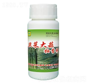 �²˴����̦��-��������