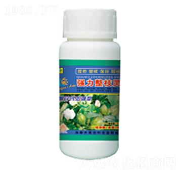 �޻���(qi��ng)����֦�`-��������