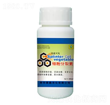 100ml��(x��)��������-��������