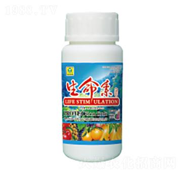 ������-��������