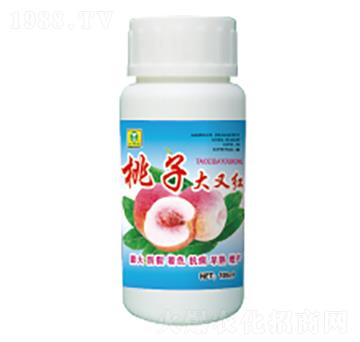 ���Ӵ��ּt-��������