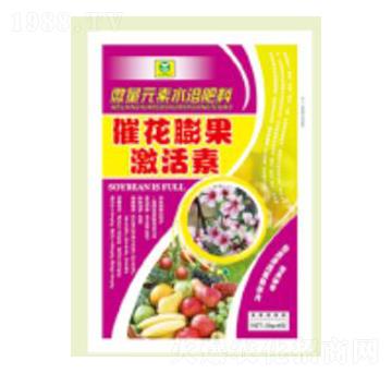 �߻����������-��������