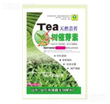 ����ѿ��25g-��������