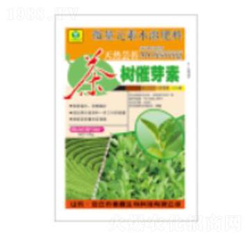 25g����ѿ��-��������