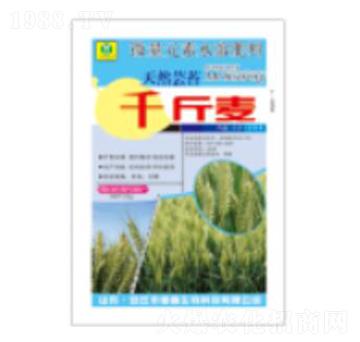 ǧ����-��������