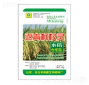 �������`-��������